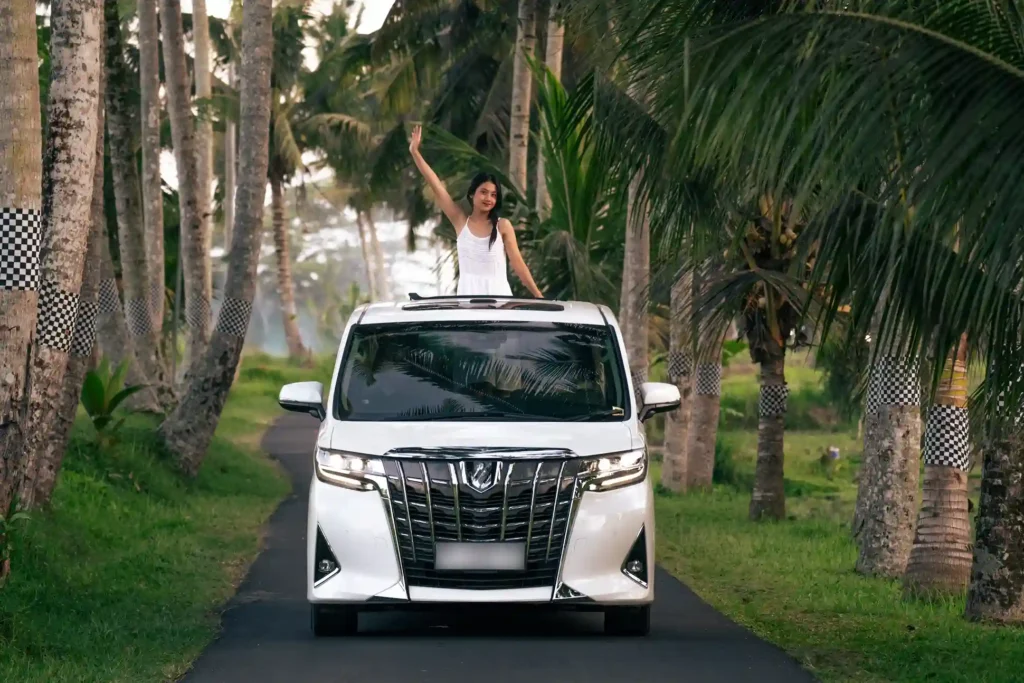Tropical palm-lined road near Canggu, Bali